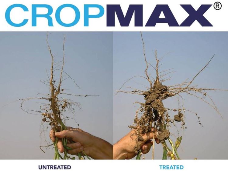 Cropmax ingrasamant natural